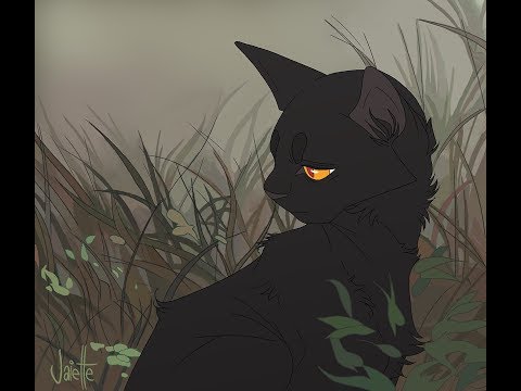 Видео: Сумеречница и Грач - Ты думал что я слабая? Коты Воители Клип