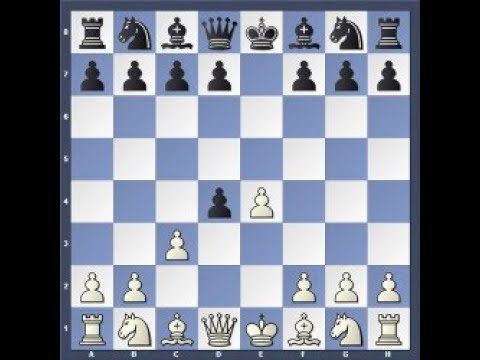Видео: Ловушки в дебюте.  Центральный гамбит