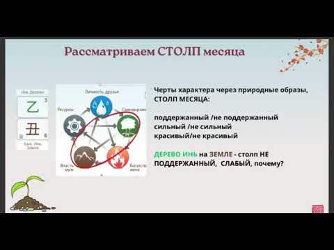 Видео: Пример анализа столпов Года, Месяца, Дня #бацзы #ЗояБубнова
