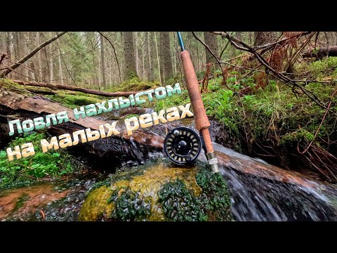 Видео: Ловля нахлыстом на малых реках в 2025 году