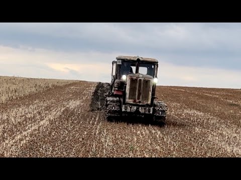 Видео: Советский трактор Т-74 не сдаётся  . Пашем гусеничным трактором 2023