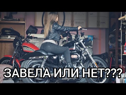 Видео: Harley Davidson Sportster 883 Заклинил мотор, что случилось, намучился...??