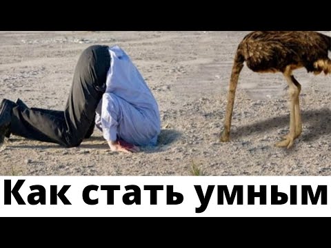 Видео: Как стать УМНЫМ