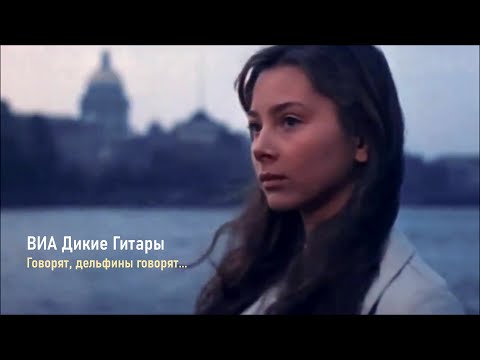 Видео: ВИА Дикие Гитары - Говорят, дельфины говорят