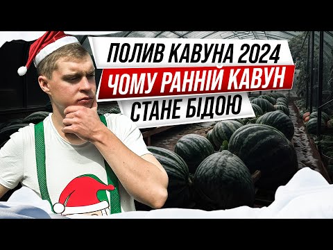 Видео: Не допускайте цю помилку при поливі баштана!
