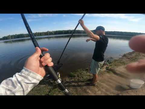 Видео: На цьому ставку коропи не дають спокою 😁
