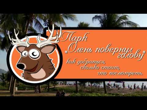 Видео: парк "Олень повернул голову" Хайнань. Что и как. #хайнаньсбмв