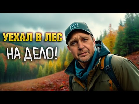 Видео: Тяжёлая находка в лесу. Осеннее бездорожье.