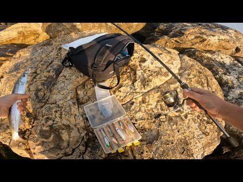 Видео: Ловля барракуды Barracuda fishing