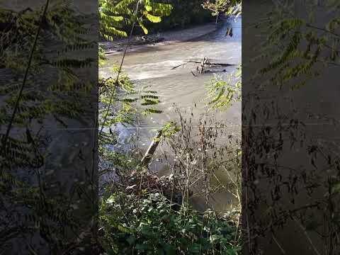 Видео: 29 октября 2025 г.