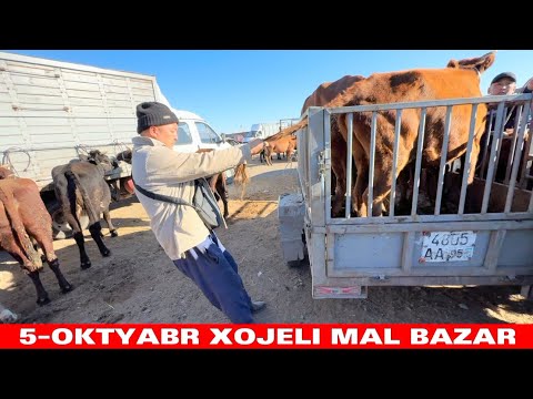 Видео: 5-ОКТЯБРЯ ХОЖЕЛИ МАЛ БАЗАР БАХАЛАРЫ СКОТНЫЙ РЫНОК БУГАЛАР СИЙЫРЛАР