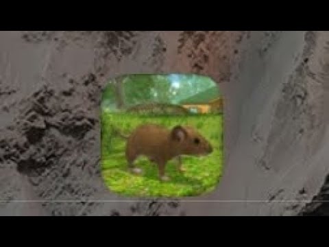 Видео: Играю в игру симулятор мыши