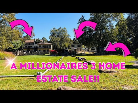 Видео: Распродажа имущества миллионера | 3 дома, полные сокровищ и находок на eBay