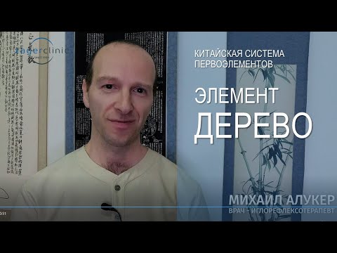 Видео: Элемент дерево | Система первоэлементов