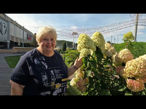 Видео: Прислушались к вашему совету и купили обновки для квартиры. С Дуней едем в больницу.