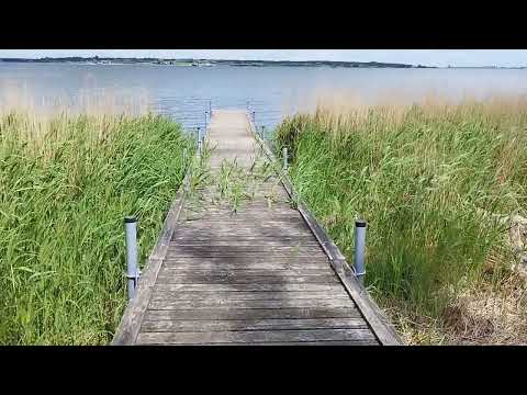 Видео: Майский день, прогулка на природе. Дания. A May day, a walk in nature. Denmark.