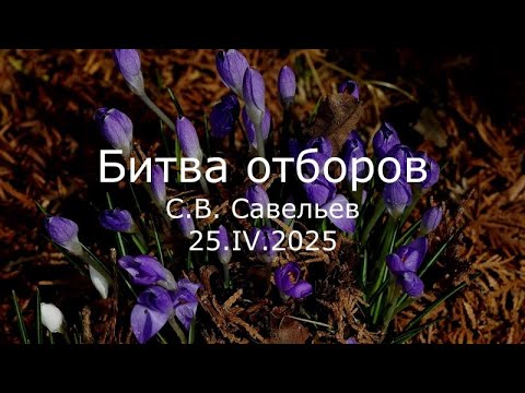 Видео: С.В. Савельев - Битва отборов