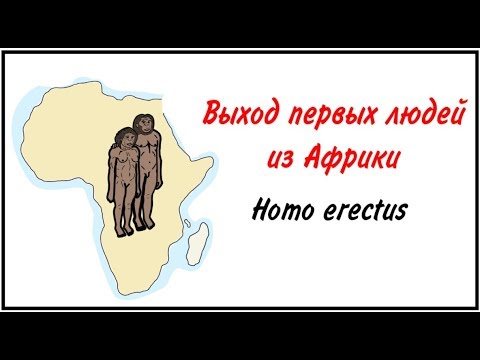 Видео: Как древние люди вышли из Африки