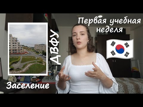 Видео: ДВФУ /заселение/первая учебная неделя /корейский