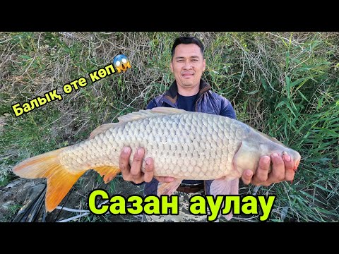 Видео: ҮЛКЕН САЗАНДАР АУЛАУ. Балық өте көп!!! ОГРОМНЫЕ САЗАНЫ. Рыба в томатном соусе.Fishing in Kazakhstan