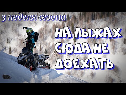 Видео: МАМАЙЦЫ покоряют горы  Риддера. Как вернуться без лыжи?