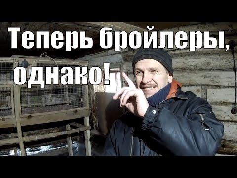 Видео: Бройлеры выращивание (1 часть) и эксперимент по отоплению курятника зимой