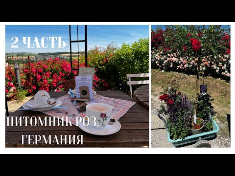 Видео: Германия, питомник роз 2 часть