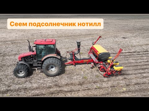 Видео: Нотилл. Прямой посев подсолнечника. Сеялка Ведерштадт Темпо.