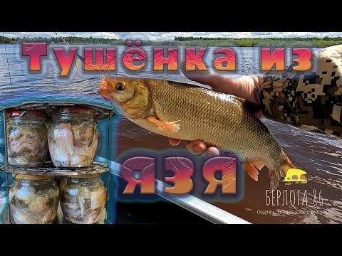 Видео: Язь пошел на ТУШеНКУ !! Малиновка 3 !! Готовлю тушенку в автоклаве ! Обалденный рецепт !)
