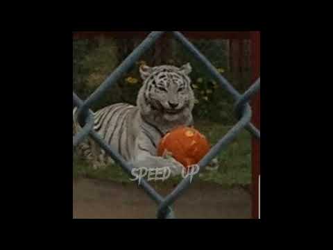 Видео: 17 лет - макс корж / speed up