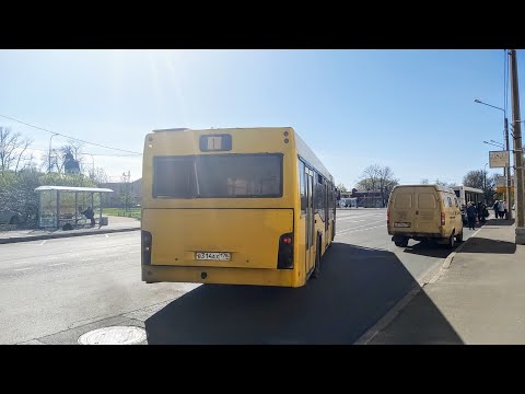 Видео: Автобус, маршрут №1Л (полный рейс) МАЗ-103.465 б.314 (14.05.2022) Ломоносов