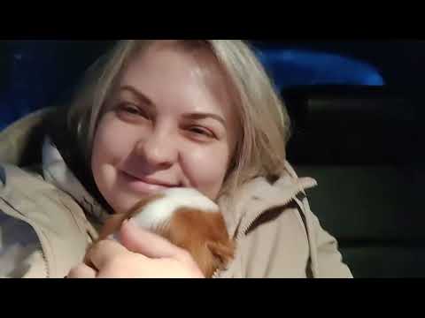 Видео: Нас стало больше 🎉🥳