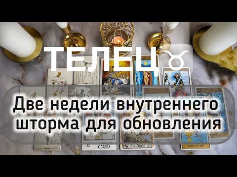 Видео: Телец ♉️ таро и гороскоп с 13 по 26 октября 2025
