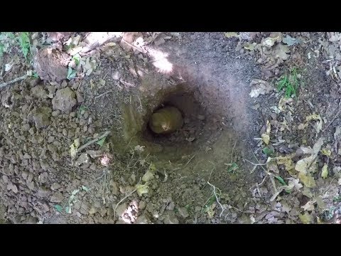 Видео: МНЕ БЫЛО СТРАШНО, НО Я ЕЕ ВЫКОПАЛ. Коп в лесу и находки на металлоискатель