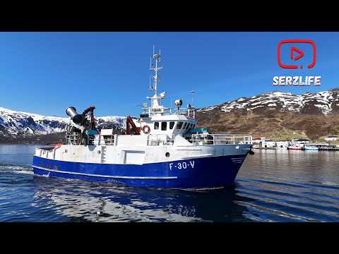 Видео: Гренландский Палтус / Как Рыбаки готовятся к Рыболовному сезону?