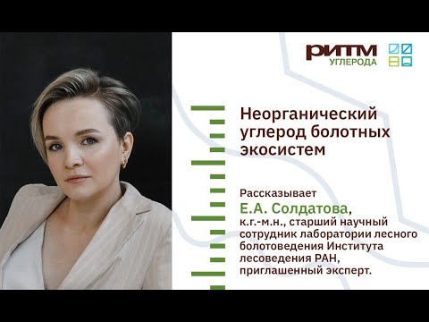 Видео: Лекция 18. Неорганический углерод болотных экосистем. Солдатова Е.А.