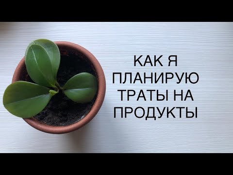 Видео: КАК Я ПЛАНИРУЮ ТРАТЫ НА ПИТАНИЕ.