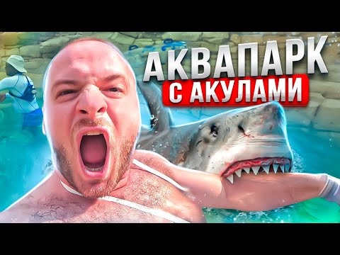 Видео: Дубай2023/Самый Большой Аквапарк в Мире/Цены/Еда/Горки с Акулами(Aquaventure Waterpark)