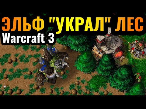 Видео: ВЕСЬ ЛЕС УКРАЛИ: Орочьи слёзы и Эльфийский троллинг в Warcraft 3 Reforged