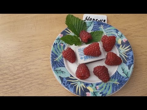 Видео: Мапема (ремонтант) -  малина (Голландский сорт)