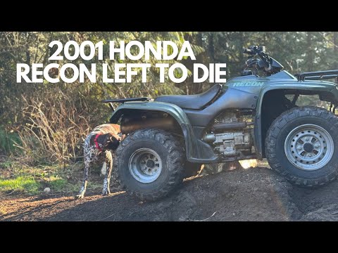 Видео: Honda Recon 2001 года, накрытый брезентом и оставленный на 10 лет