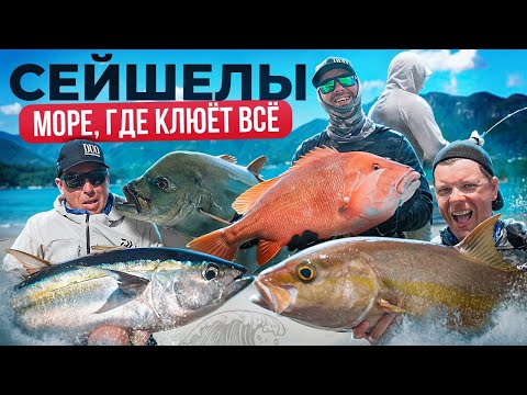 Видео: СЕЙШЕЛЫ. Джиггинг в Индийском океане! Шанин, Готовский, Доронин.