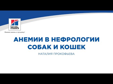 Видео: Вебинар №8 школы НЕФРОУРОВЕТ: "Анемии в нефрологии собак и кошек". Лектор - Наталия Прокофьева.