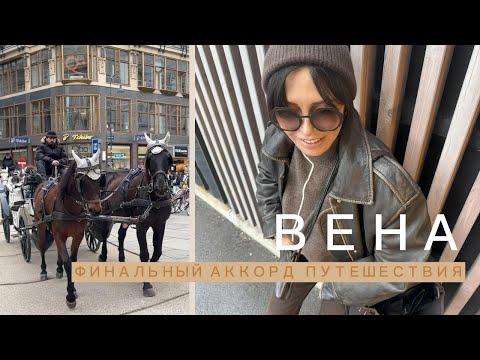 Видео: ПОСЛЕДНИЕ РОЖДЕСТВЕНСКИЕ ДНИ В ВЕНЕ | ПРИЯТНАЯ РАСПАКОВКА ДОМА