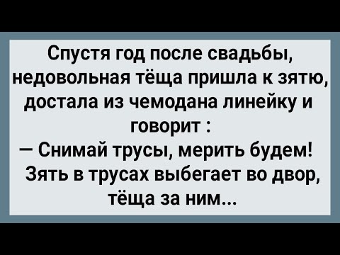 Видео: Как Теща Линейкой Хозяйство Мерила! Сборник Свежих Анекдотов! Юмор!