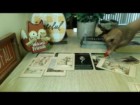 Видео: ДЕВА ОНИ ХОТЯТ В ВАС ИНВЕСТИРОВАТЬ