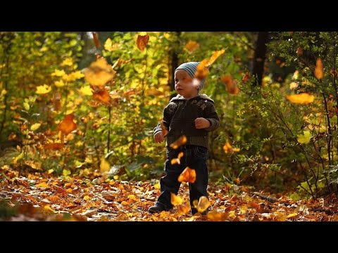 Видео: Клип "Осень, осень - золотой листопад"