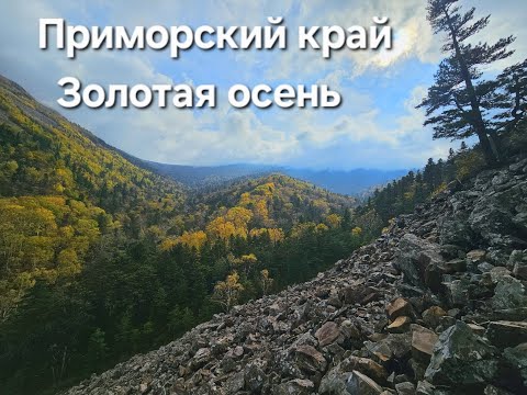 Видео: Золотая осень в Приморье , очень красиво