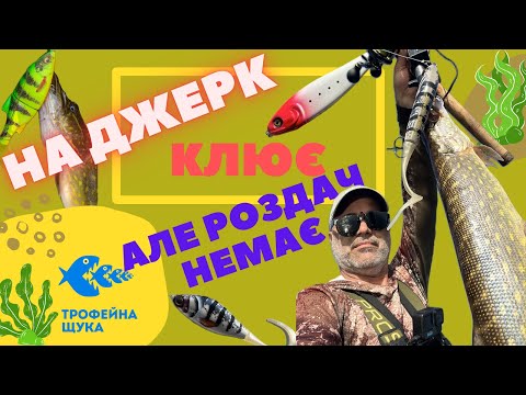 Видео: Осінь почалася, чекаємо на жор. Розловлюю джеркбейти з лави запасних.