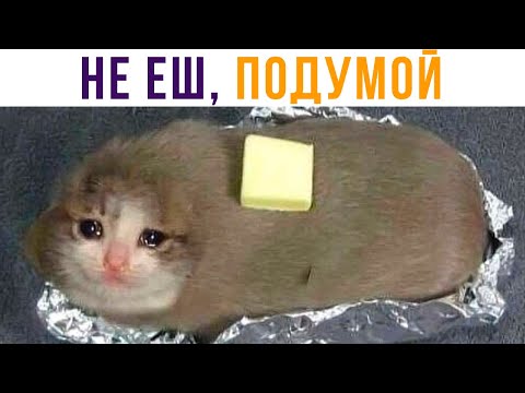 Видео: НЕ ЕШ, ПОДУМОЙ... Приколы | Мемозг #450